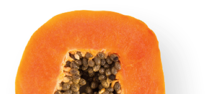 Papaya