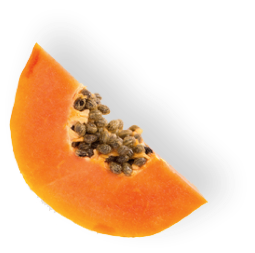 Papaya