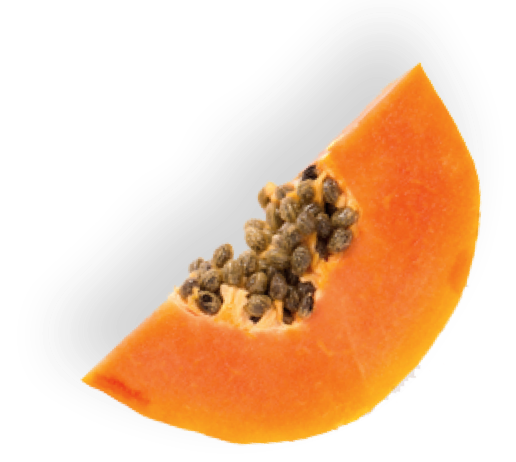 Papaya