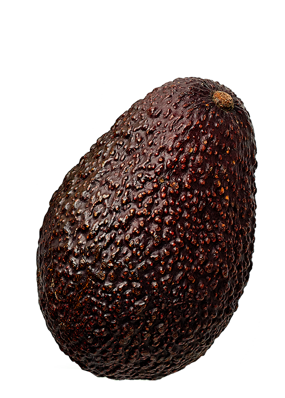 BIO | AVOCADO FRUNET