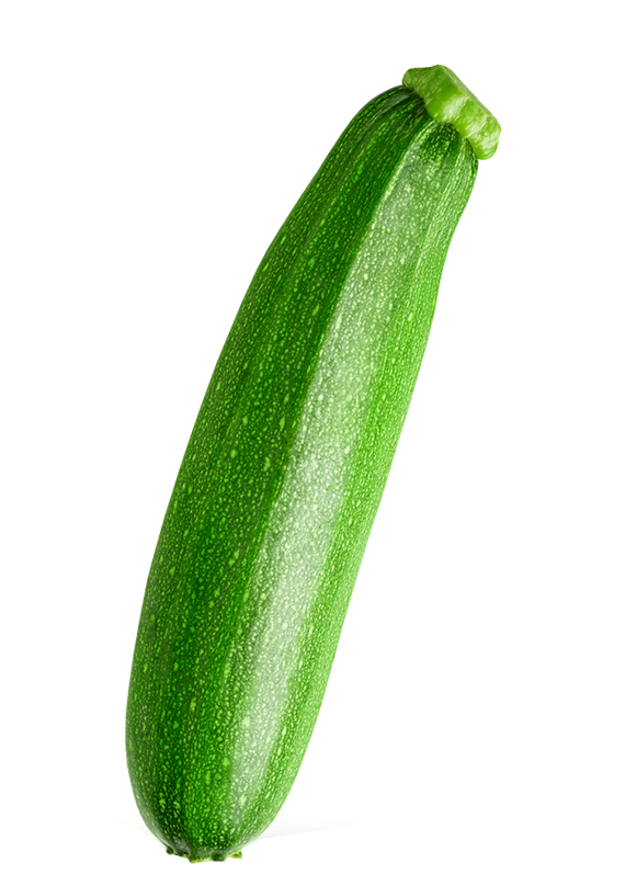 Courgette Zucchini Bio