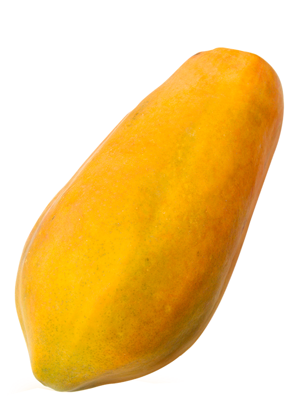 Papaya