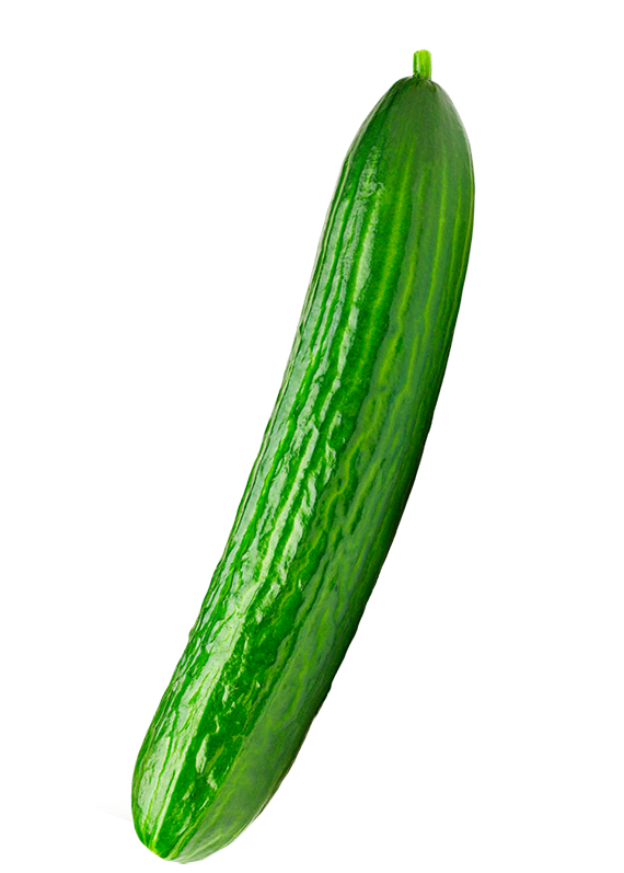 Pepino