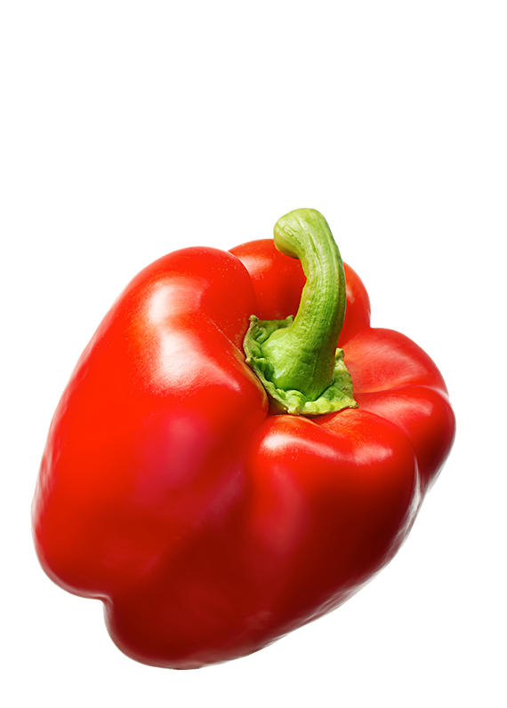 Pimiento